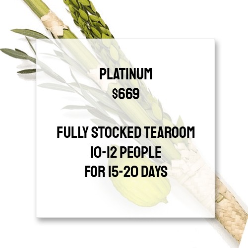 Platinum Sukkot Package